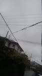 2020052107091601.jpg