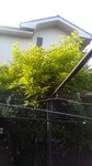 2020052306032501.jpg