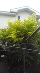 2020052506514001.jpg