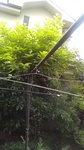 2020052806531701.jpg