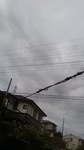 2020052806532301.jpg