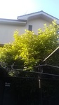 2020052906175301.jpg
