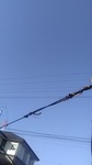 2020053006204101.jpg