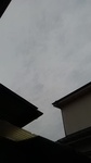 2020053105561401.jpg