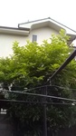 2020053105561801.jpg