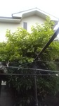 2020060205392801.jpg