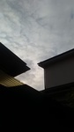 2020060806104001.jpg