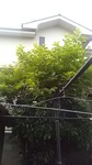 2020060806104301.jpg
