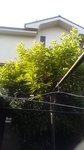 2020060906152801.jpg