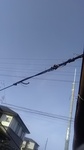 2020060906153301.jpg