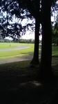 2020060908434101.jpg