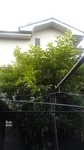 2020061105450401.jpg