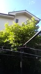 2020061206431901.jpg