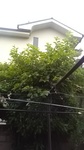 2020061306105301.jpg
