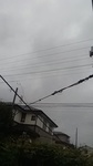 2020061306105901.jpg