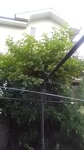 2020061905460901.jpg