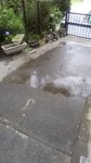 2020061905462001.jpg