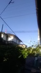 2020062005451701.jpg