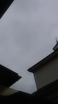 2020062106535801.jpg