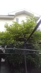 2020062106540201.jpg