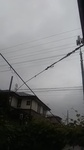 2020062106541401.jpg