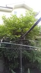 2020062206474501.jpg