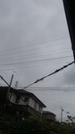 2020062206475001.jpg