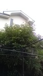 2020062306543401.jpg