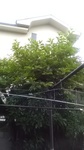2020062406441101.jpg