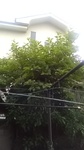 2020062506403101.jpg