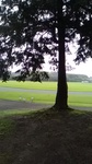 2020062608443701.jpg