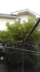 2020062710131301.jpg