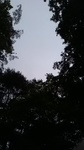 2020070307075601.jpg