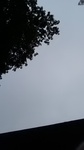 2020070307080201.jpg