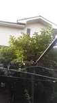 2020072007195401.jpg