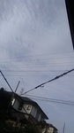 2020072007195901.jpg