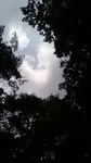 2020072212032501.jpg