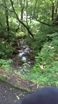 2020072211415901.jpg