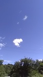 2020081113345501.jpg