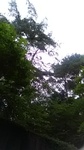 2020081312060101.jpg