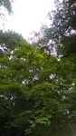 2020081312055501.jpg