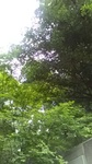 2020081312055801.jpg
