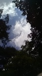 2020081411522401.jpg
