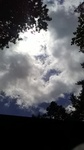 2020081411523301.jpg