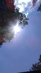 2020081511335901.jpg