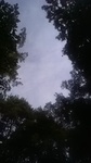 2020081807592801.jpg