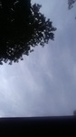 2020081807593401.jpg