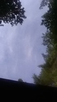 2020081807593701.jpg