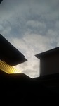 2020082506385601.jpg