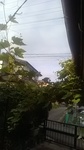 2020082506392101.jpg